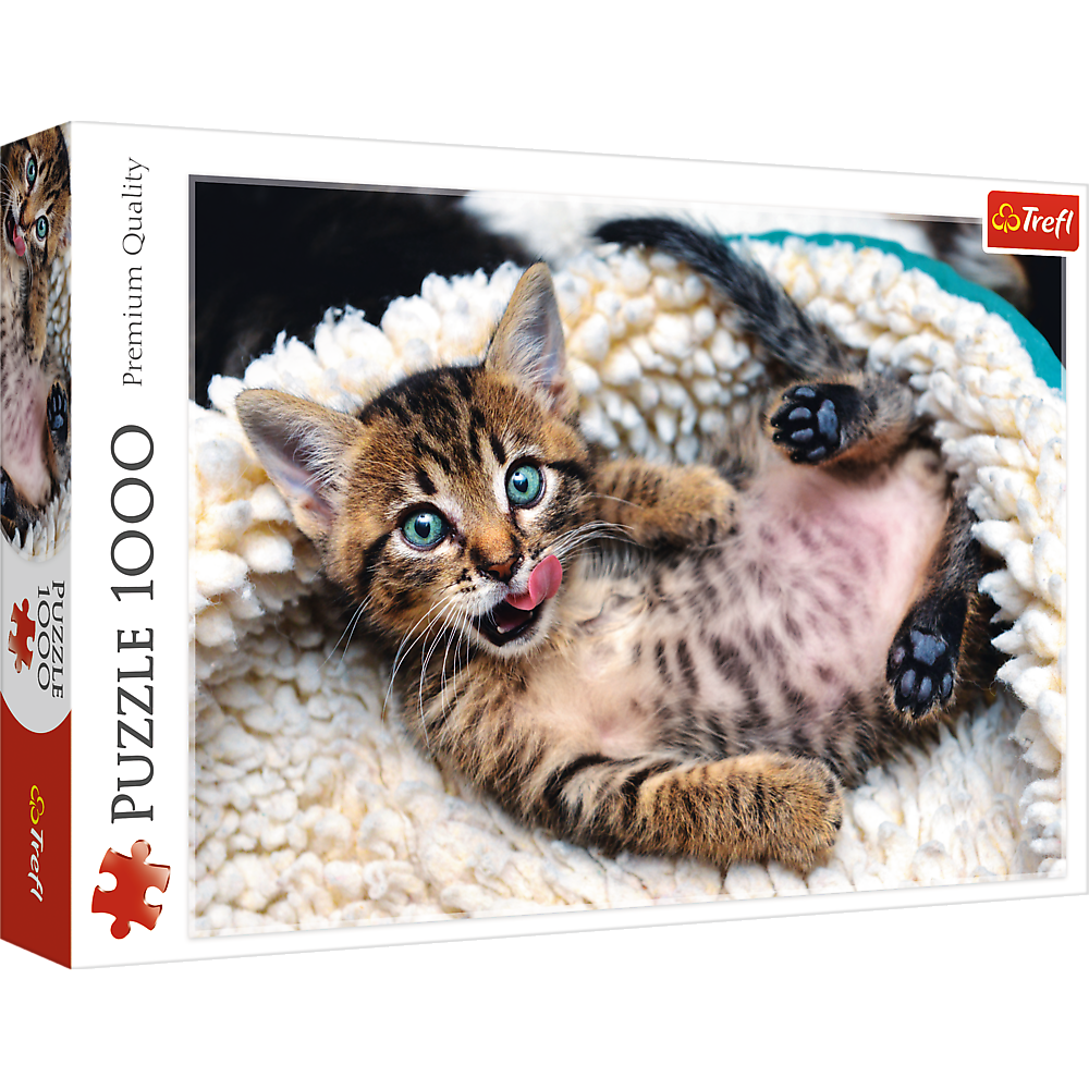 Cheerful Kitten - 1000 Piece Jigsaw Puzzle
