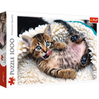 Cheerful Kitten - 1000 Piece Jigsaw Puzzle