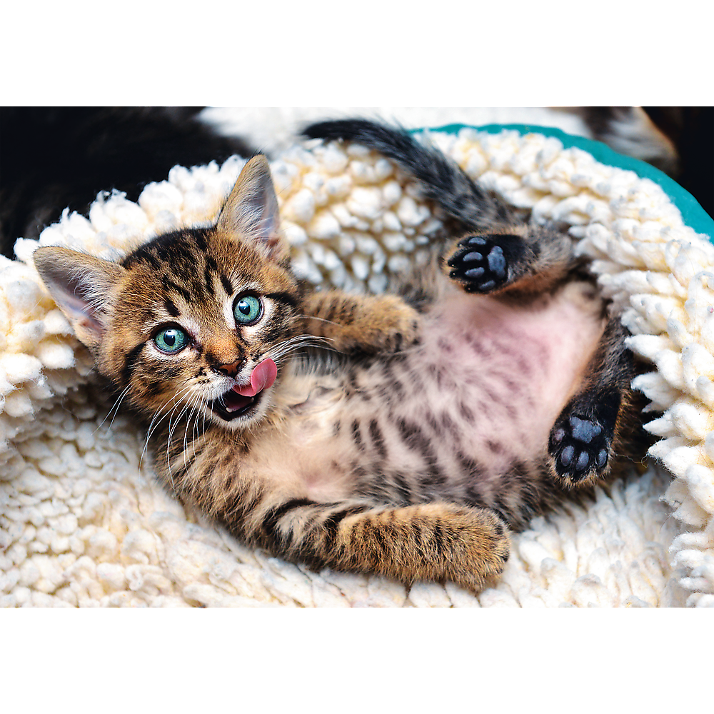Cheerful Kitten - 1000 Piece Jigsaw Puzzle