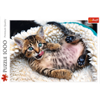 Cheerful Kitten - 1000 Piece Jigsaw Puzzle