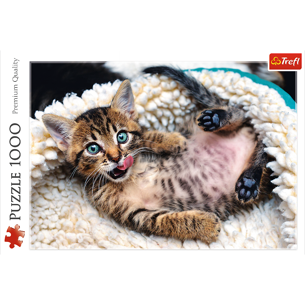 Cheerful Kitten - 1000 Piece Jigsaw Puzzle