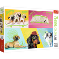 Far Out Dogs – 1000 Piece Dog Puzzle