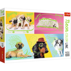 Far Out Dogs – 1000 Piece Dog Puzzle