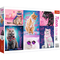 Super Cats – 1000 Piece Jigsaw Puzzle