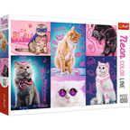 Super Cats – 1000 Piece Jigsaw Puzzle