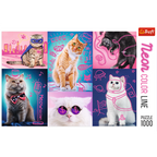 Super Cats – 1000 Piece Jigsaw Puzzle