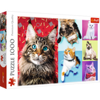Happy Cats – 1000 Piece Jigsaw Puzzle