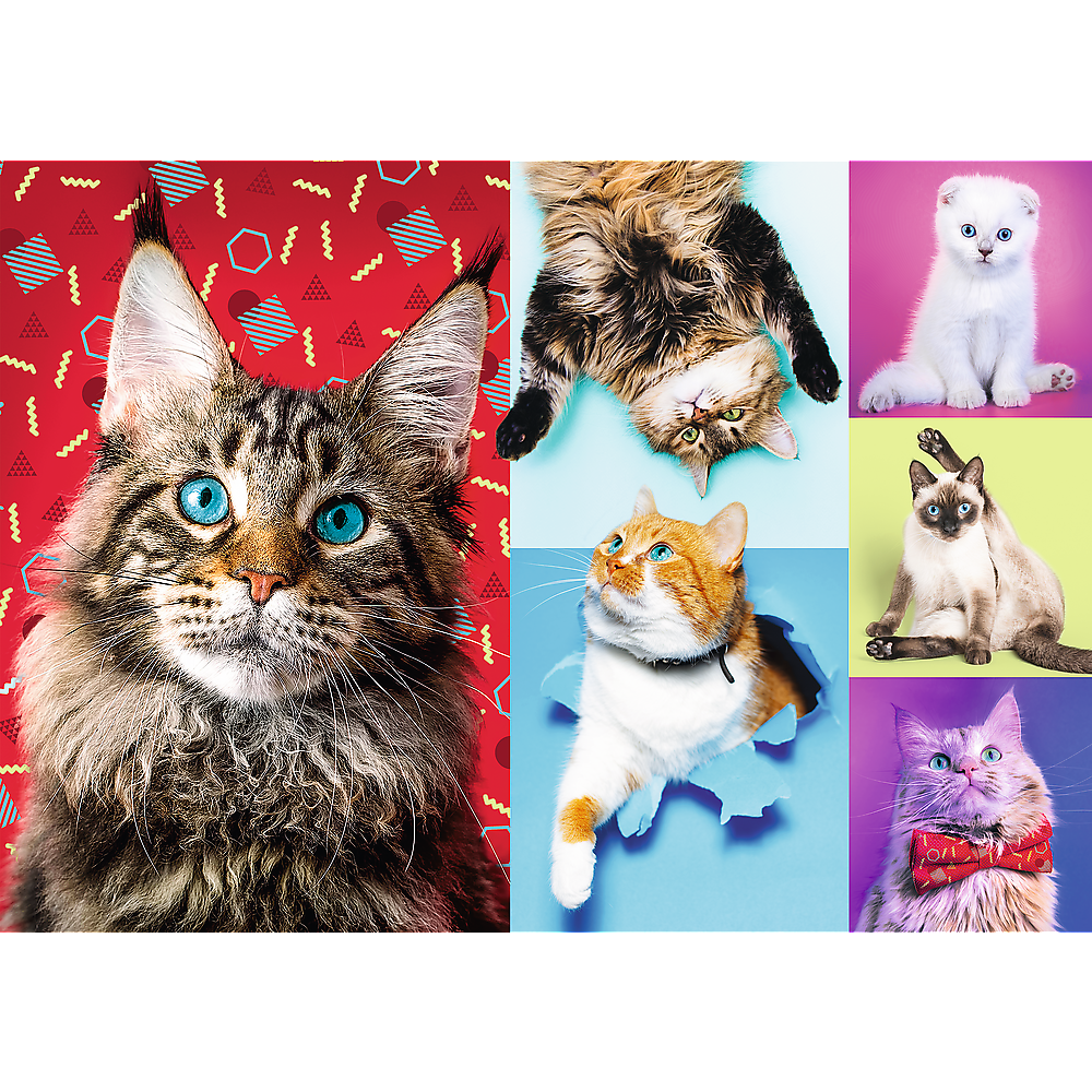 Happy Cats – 1000 Piece Jigsaw Puzzle