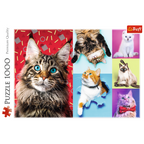 Happy Cats – 1000 Piece Jigsaw Puzzle
