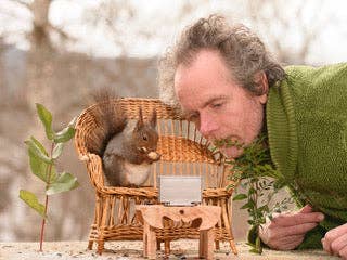 A Squirrel's Life – 500 Piece Jigsaw Puzzle