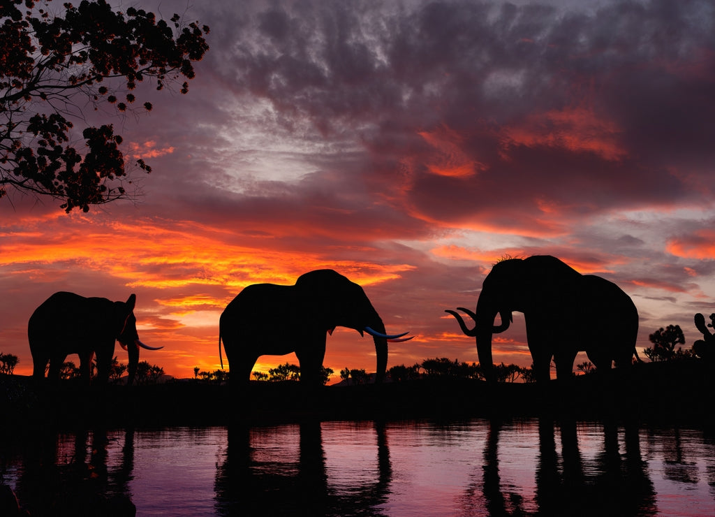 Elephants at Sunset by the River – 1000 Piece Wildlife Puzzle