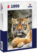 Tiger in Nature – 1000 Piece Wildlife Puzzle