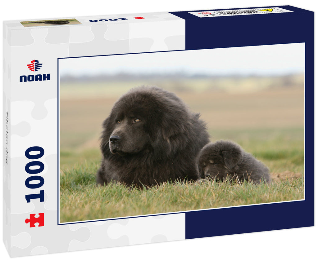 Tibetan Dog – 1000 Piece Dog Puzzle