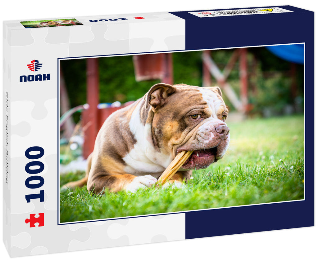 Olde English Bulldog – 1000 Piece Dog Puzzle