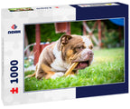 Olde English Bulldog – 1000 Piece Dog Puzzle