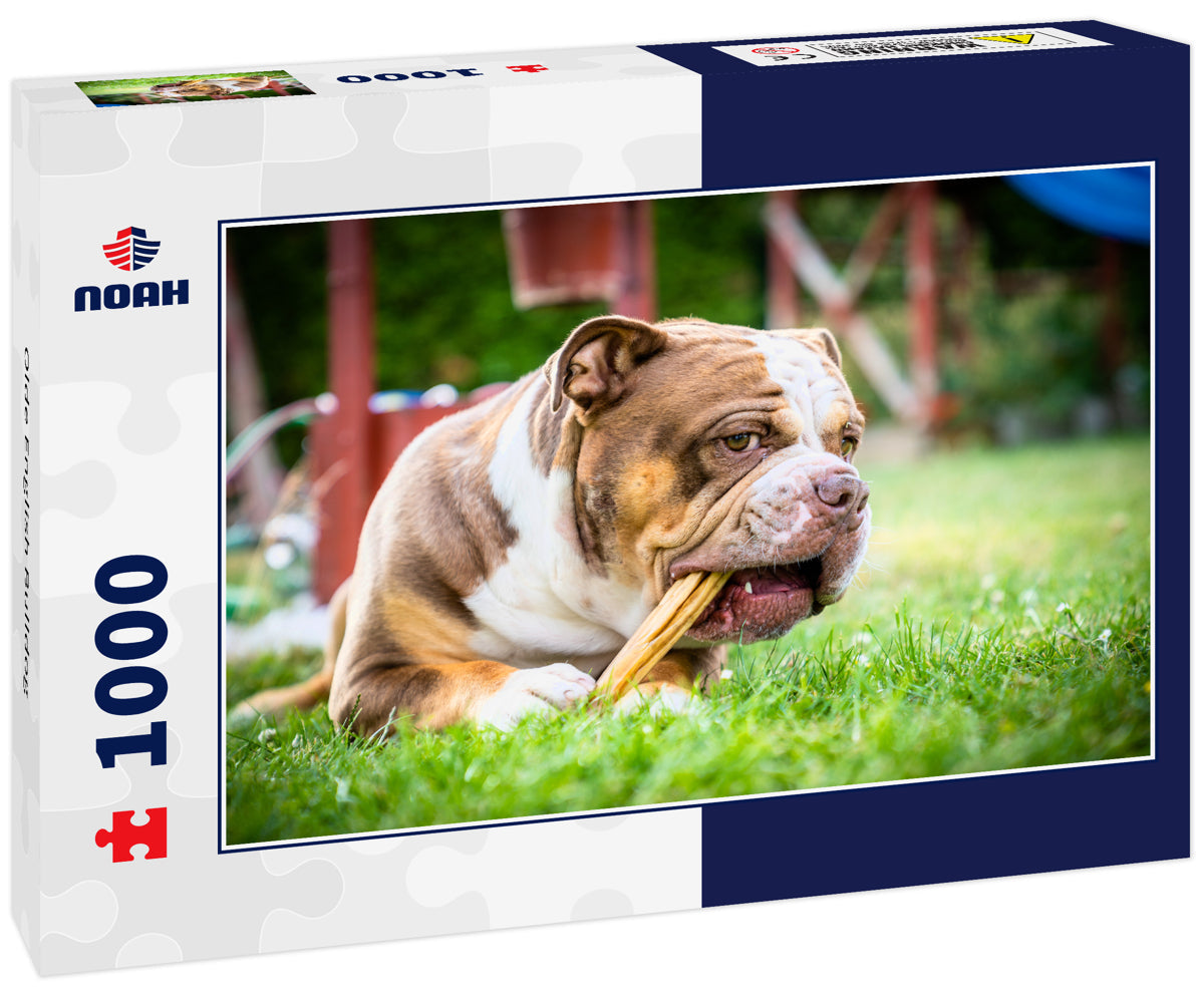 Olde English Bulldog – 1000 Piece Dog Puzzle
