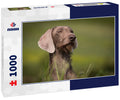 Slovak rough beard 1000pc Puzzle