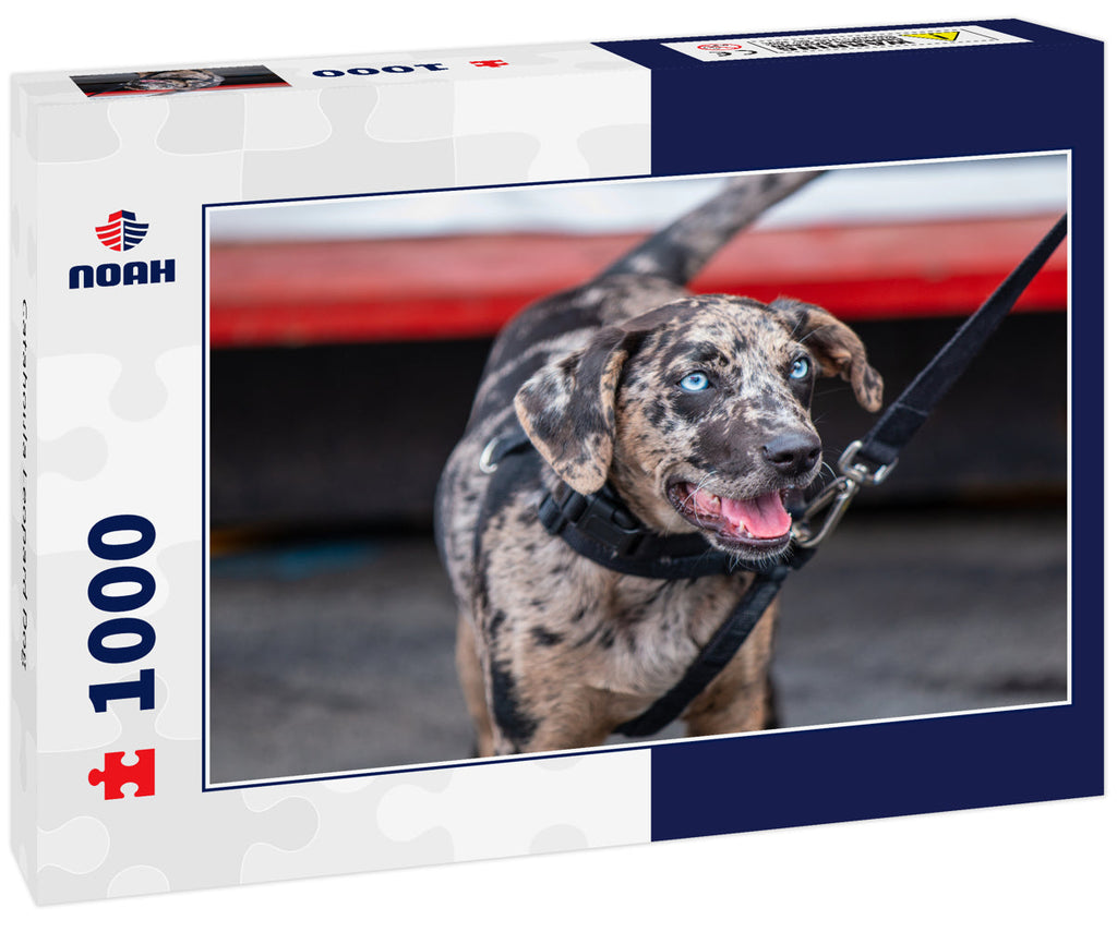 Catahoula Leopard Dog 1000pc Puzzle