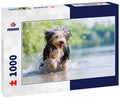 Bearded Collie 1000pc Puzzle