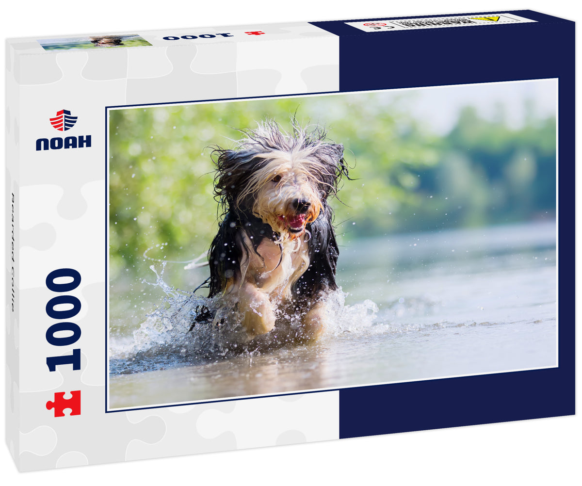 Bearded Collie 1000pc Puzzle
