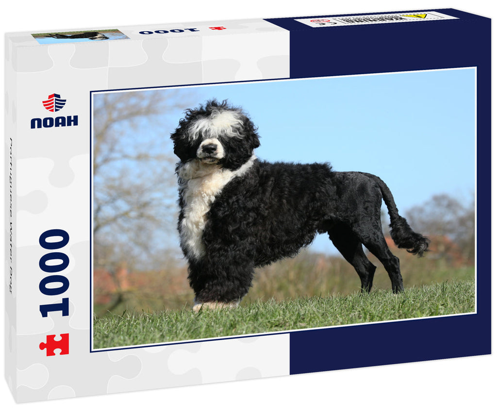 Portuguese Water Dog – 1000 Piece Dog Puzzle