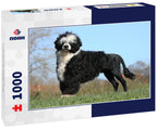 Portuguese Water Dog – 1000 Piece Dog Puzzle