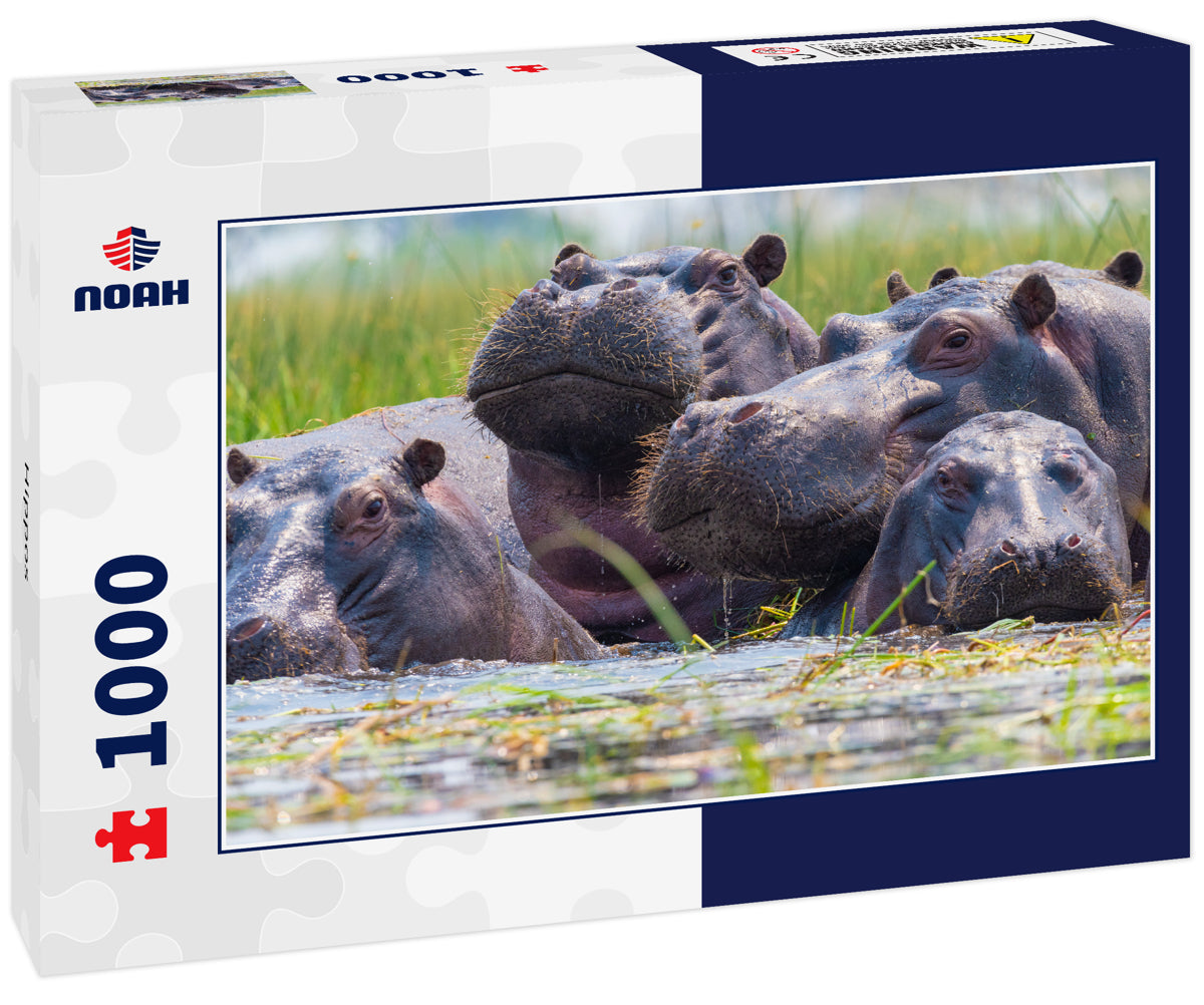 Hippos 1000pc Puzzle