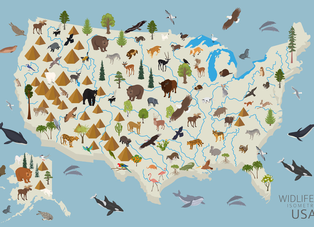 Animal Life of the USA – 1000 Piece Wildlife Puzzle