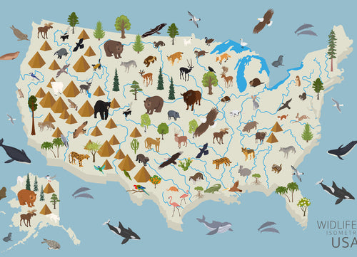 Animal Life of the USA – 1000 Piece Wildlife Puzzle