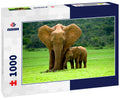 Elephant Mother with Cub – 1000 Piece Wildlife Puzzle