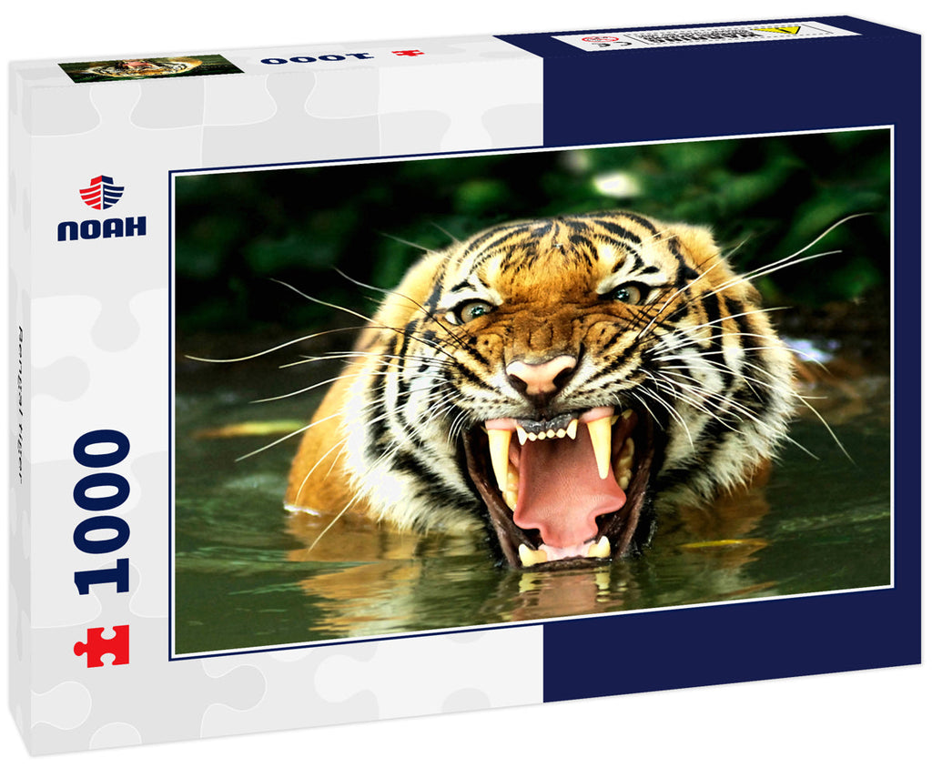 Bengal Tiger – 1000 Piece Wildlife Puzzle