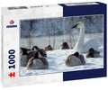 White swan sitting in the snow with ducks and geese at Fergus Falls, Minnesota 1000pc Puzzle