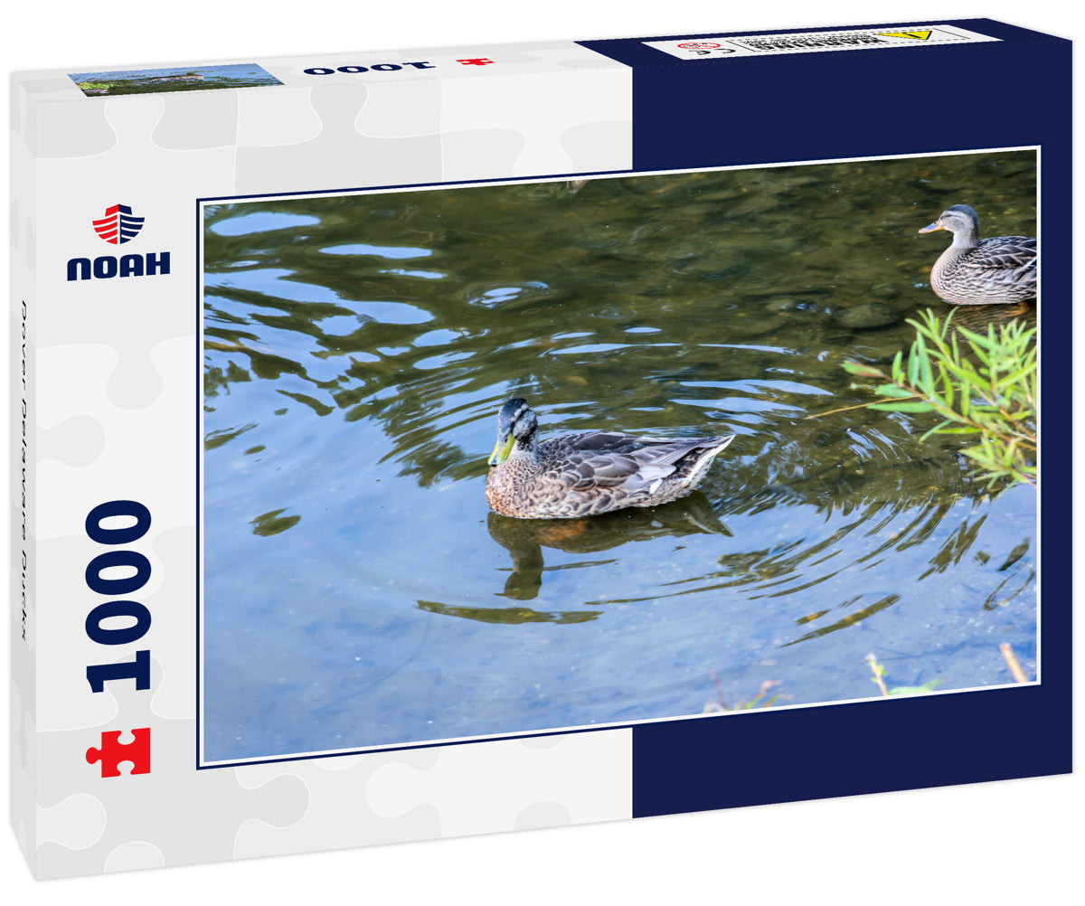 Dover Delaware Ducks 1000pc Puzzle