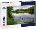 Ducks floating on pond by the Wayside Inn Massachusetts 1000pc Puzzle