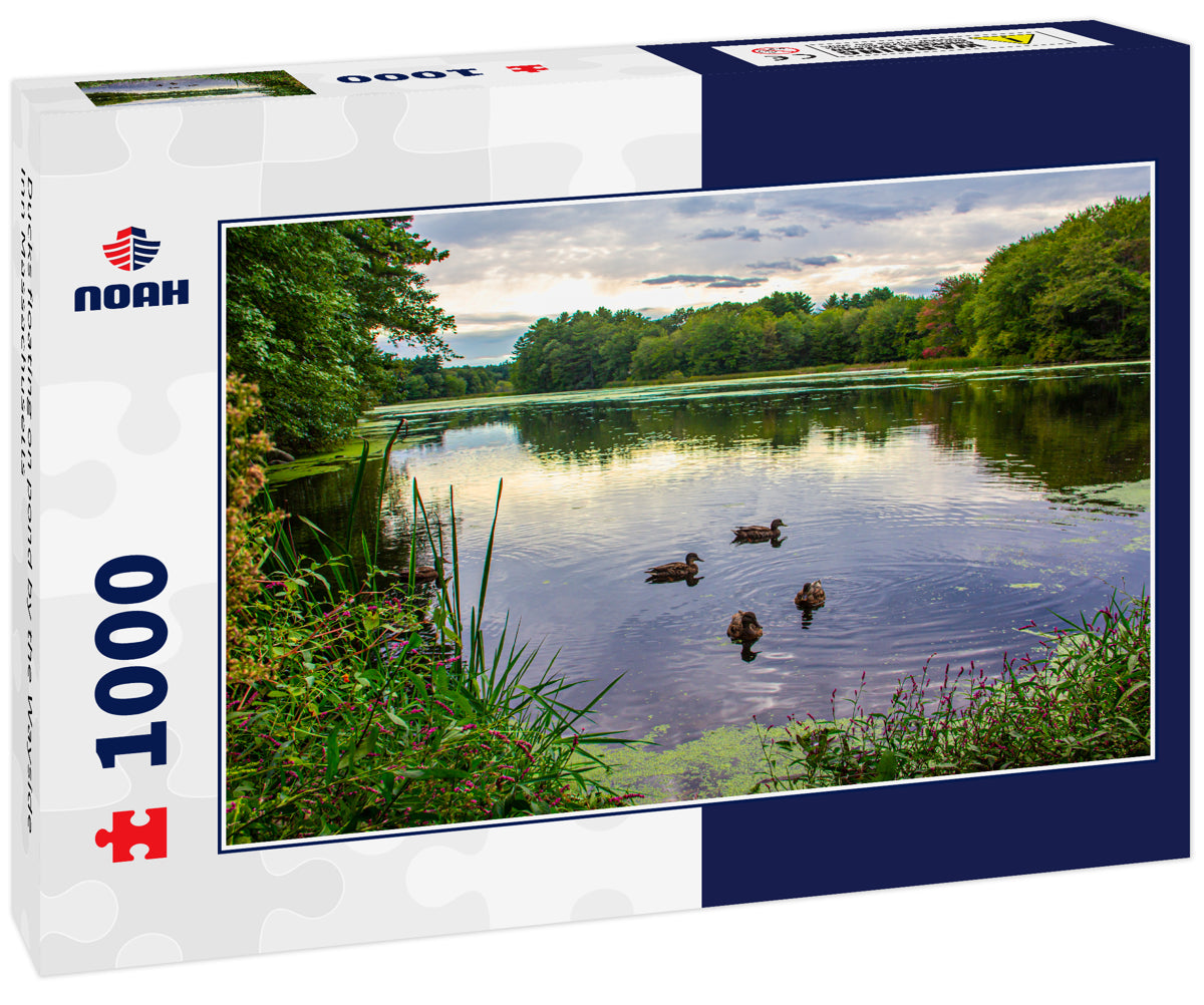 Ducks floating on pond by the Wayside Inn Massachusetts 1000pc Puzzle