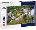 Bighorn Sheep at Glacier National Park – 1000 Piece Wildlife Puzzle