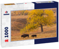 USA, South Dakota, Custer State Park. Bison mother and calf 1000pc Puzzle