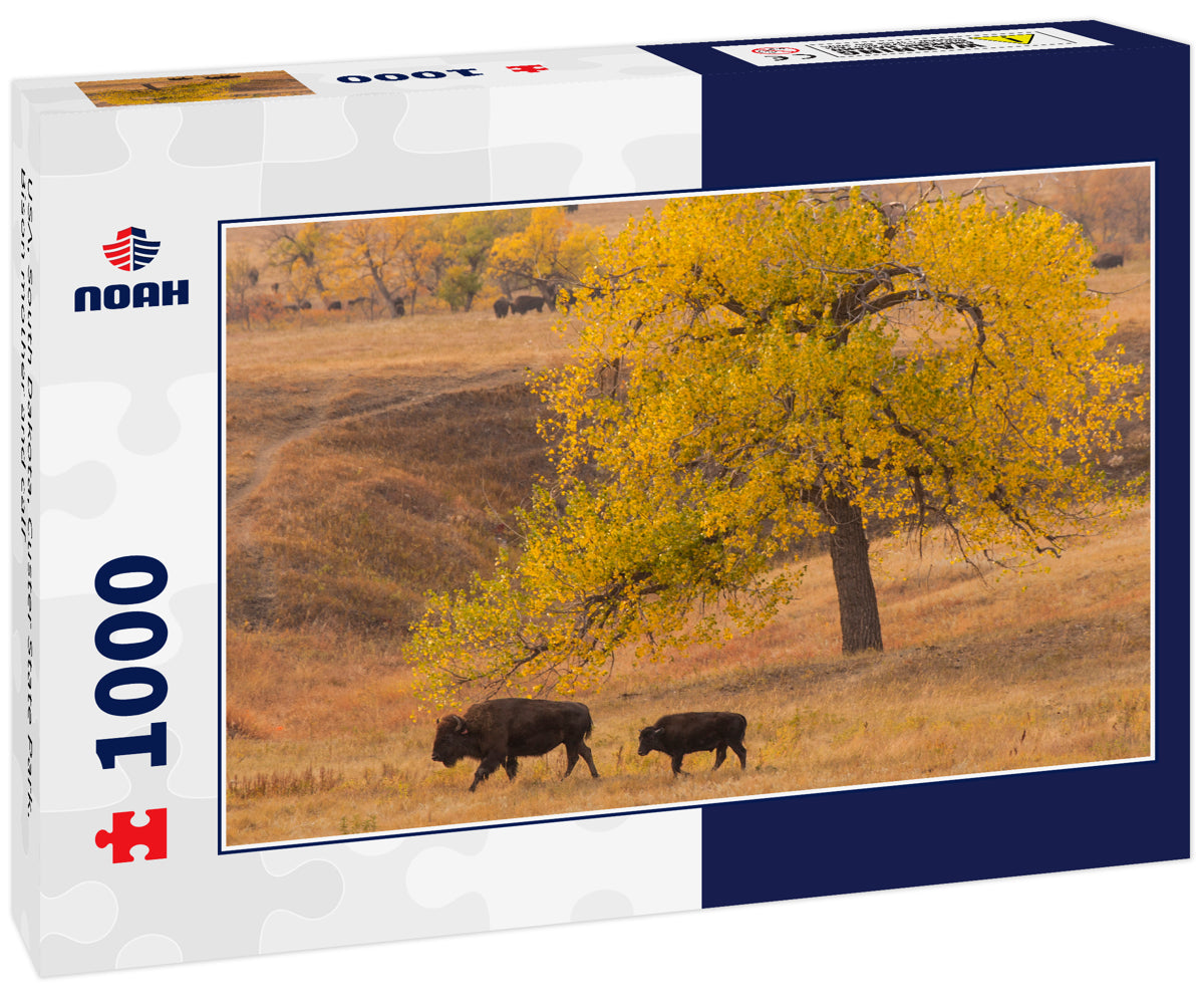 USA, South Dakota, Custer State Park. Bison mother and calf 1000pc Puzzle