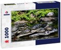 Turtles - Reptile Gardens. Rapid City, South Dakota 1000pc Puzzle