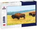 Two bison in Custer State Park, South Dakota 1000pc Puzzle