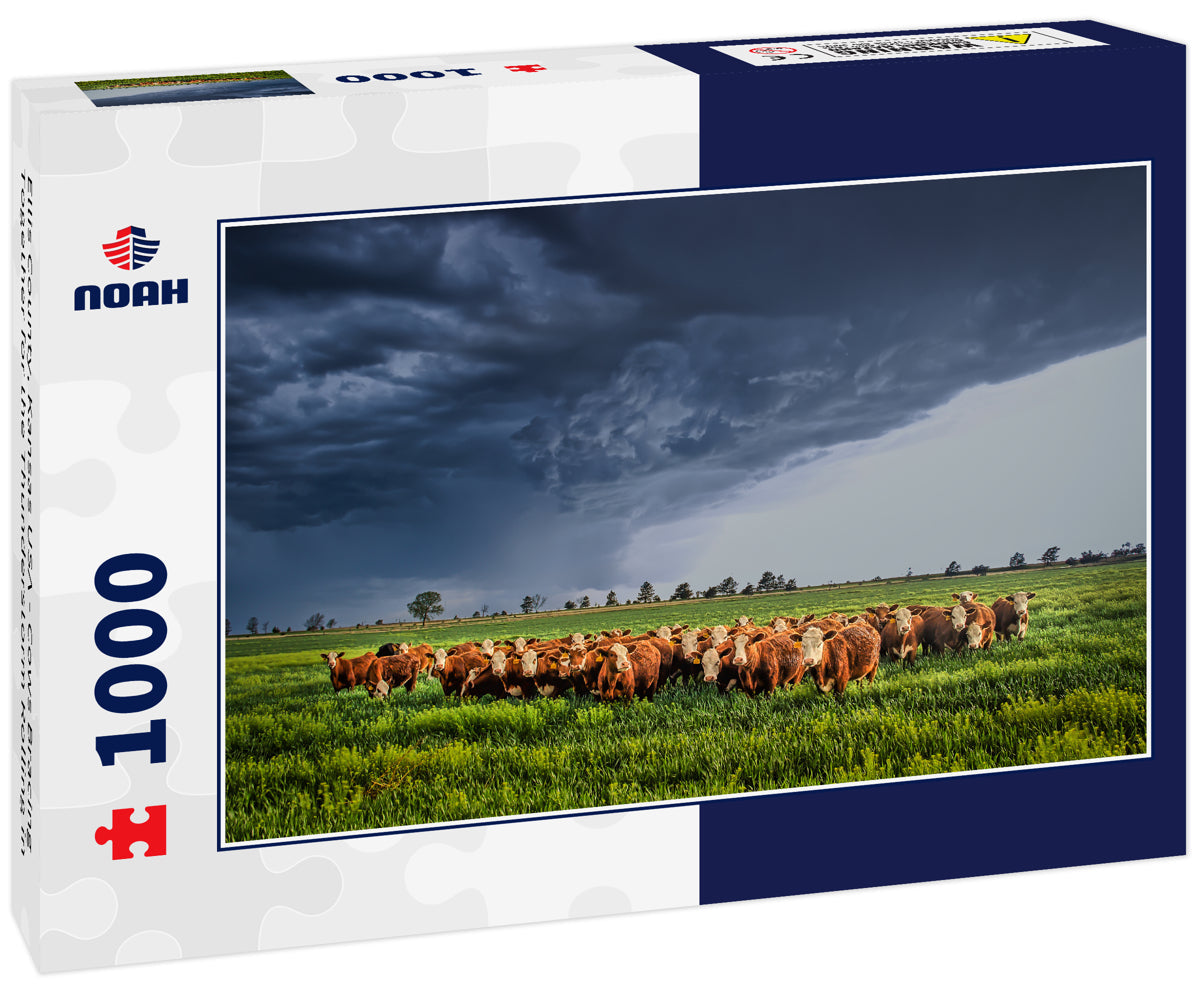 Ellis County, Kansas USA - Cows Bracing Together for the Thunderstorm Rolling in 1000pc Puzzle