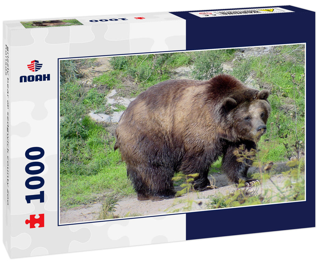 grizzly bear @ sedgwick county zoo Kansas 1000pc Puzzle