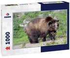 grizzly bear @ sedgwick county zoo Kansas 1000pc Puzzle