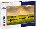 These impressive American Bison wander the plains of the Kansas Maxwell Prairie Preserve 1000pc Puzzle
