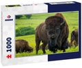 American Bison Kansas Maxwell Prairie Preserve 1000pc Puzzle