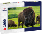 American Bison Kansas Maxwell Prairie Preserve 1000pc Puzzle