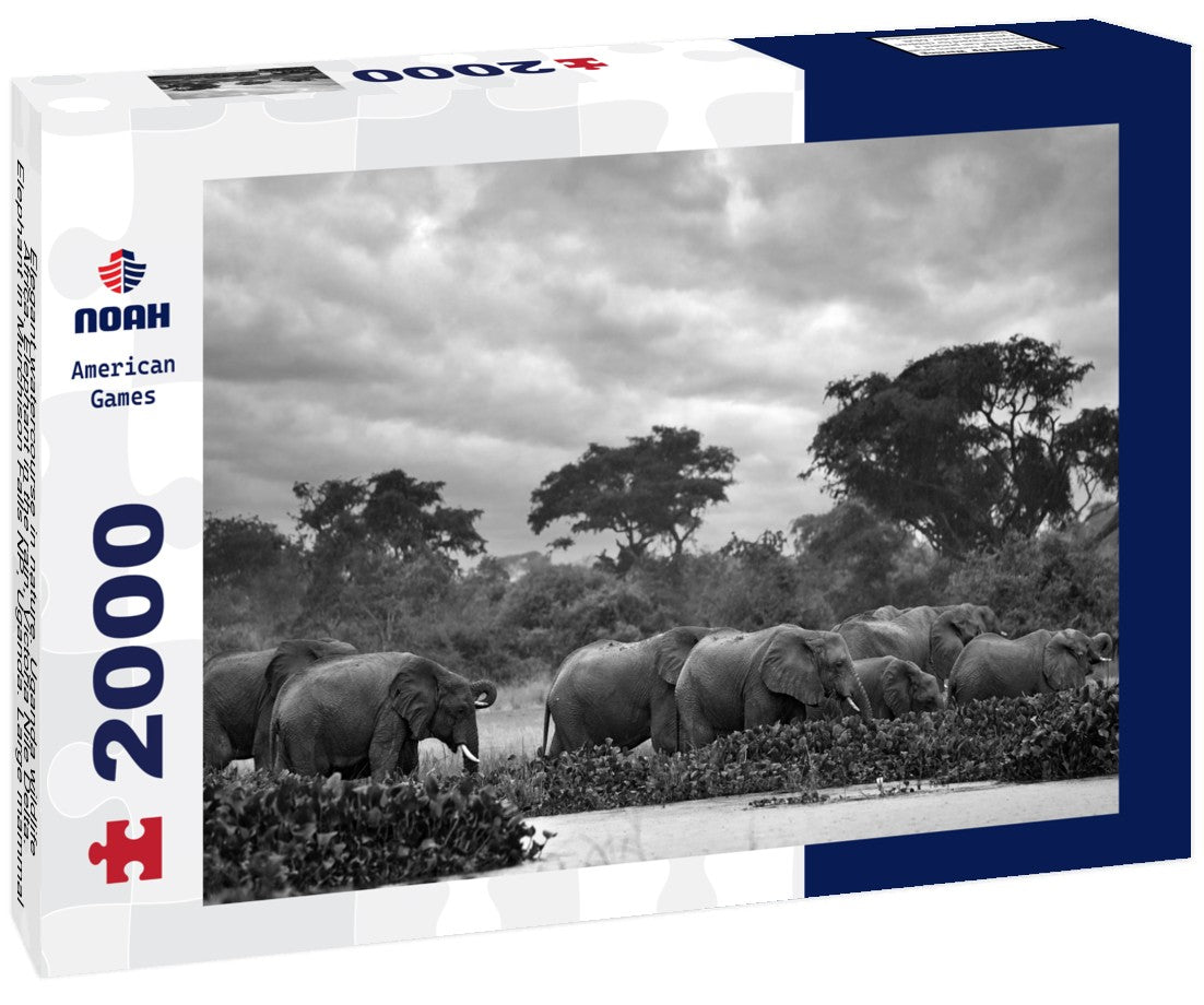 Elephant in the Rain – 2000 Piece Adult B&W Wildlife Puzzle
