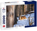 white-tailed deer also known as the whitetail or Virginia deer in winter on snow. White-tailed deer is the wildlife symbol of Wisconsin and game animal of Oklahoma 2000pc Puzzle