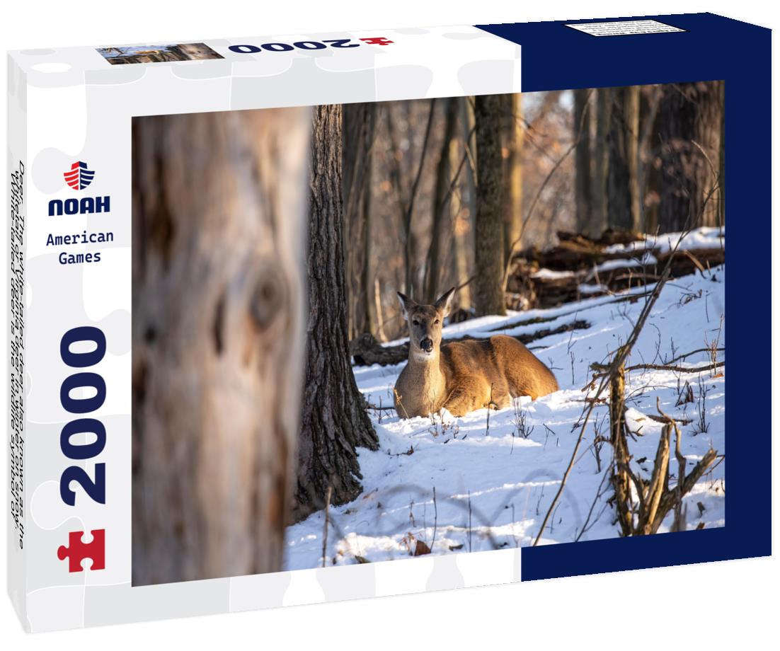 white-tailed deer also known as the whitetail or Virginia deer in winter on snow. White-tailed deer is the wildlife symbol of Wisconsin and game animal of Oklahoma 2000pc Puzzle
