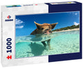 Wild, swiming pig on Big Majors Cay in The Bahamas 1000pc Puzzle